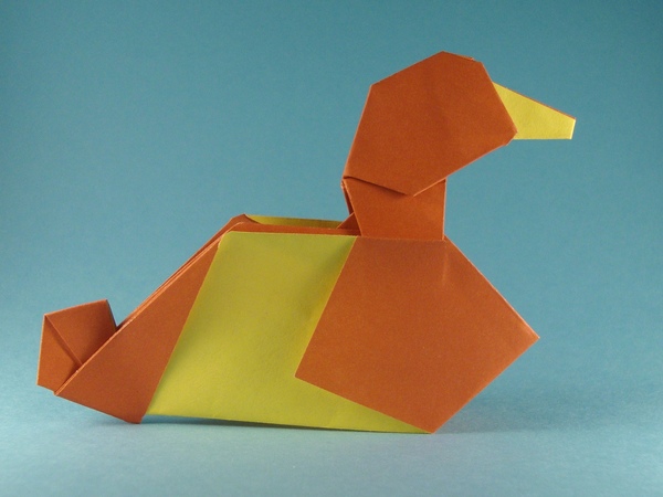 Canard