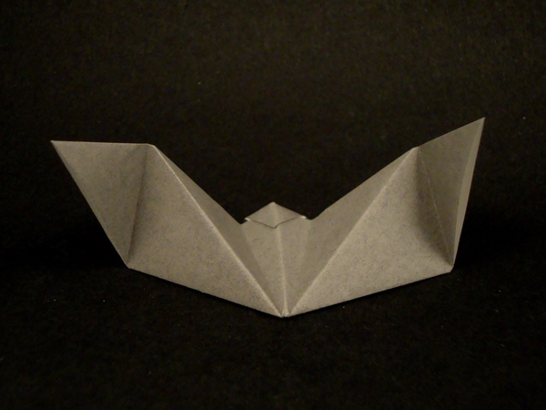 Chauve-souris