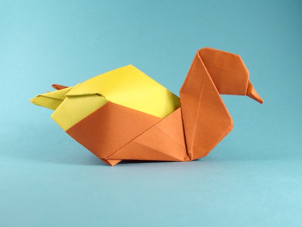 Canard
