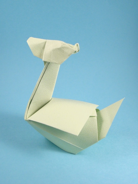 Canard 3d