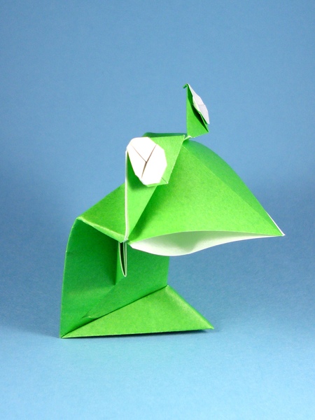 Grenouille à grande bouche