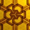 « Flowering Grid », par transparence