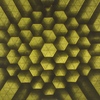 « Spread Hexagons », le dos par transparence