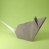 Souris