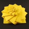 « Concentric Gears », 12 pétales