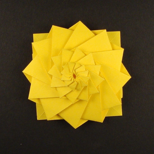 « Concentric Gears », 12 pétales